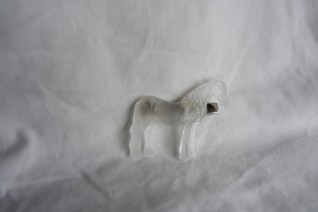 Pinza Caballo ganador
