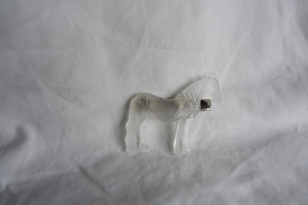 Pinza Caballo ganador